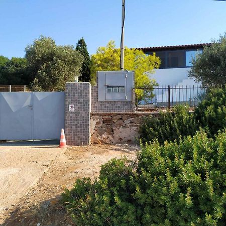 Cap Sounion Seafront Apartments -Adults Only エクステリア 写真