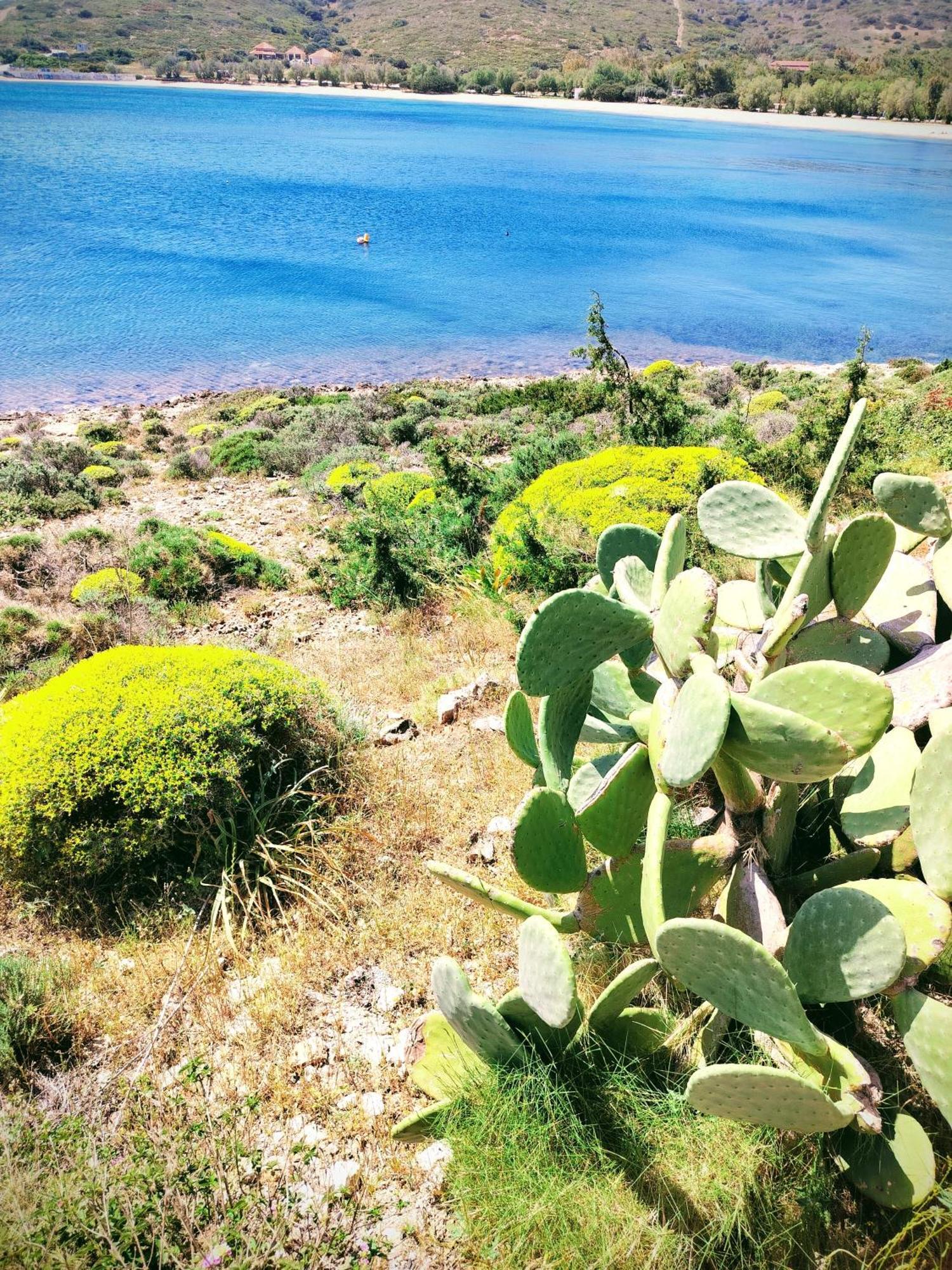 Cap Sounion Seafront Apartments -Adults Only エクステリア 写真
