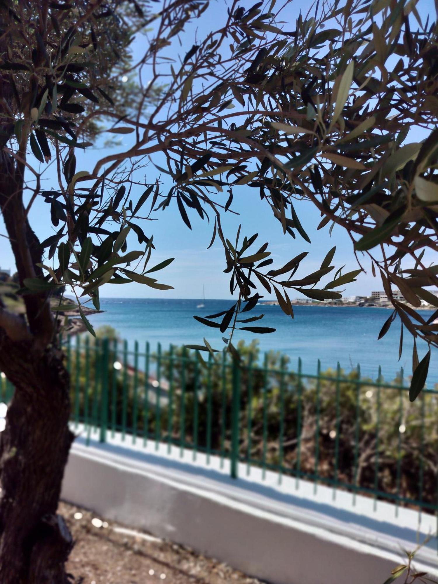 Cap Sounion Seafront Apartments -Adults Only エクステリア 写真