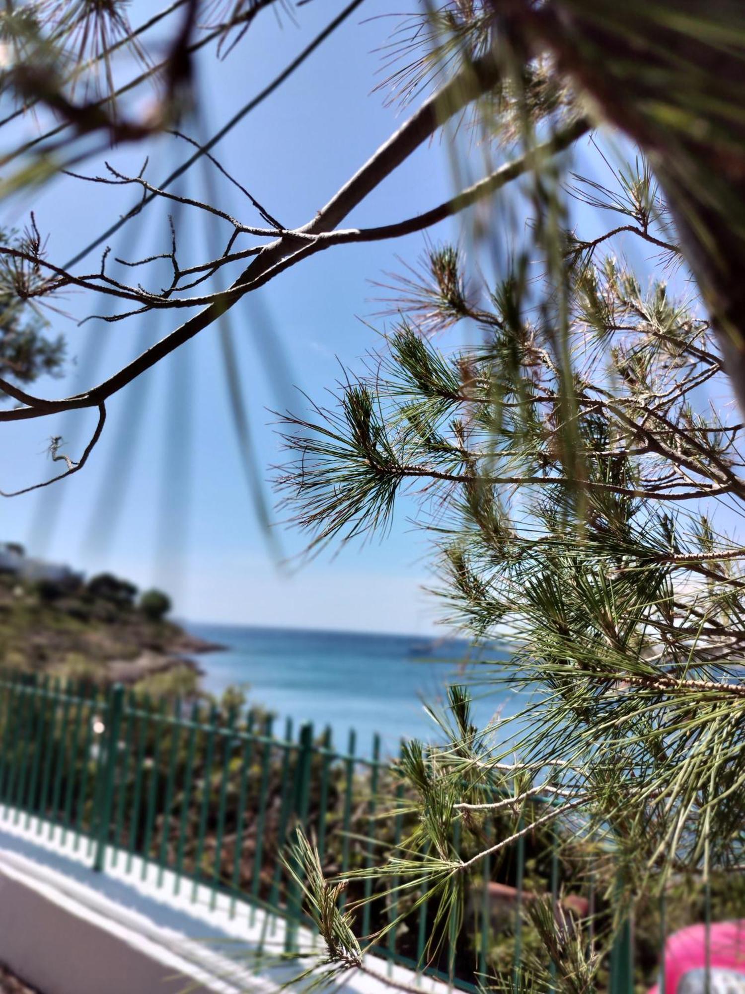 Cap Sounion Seafront Apartments -Adults Only エクステリア 写真