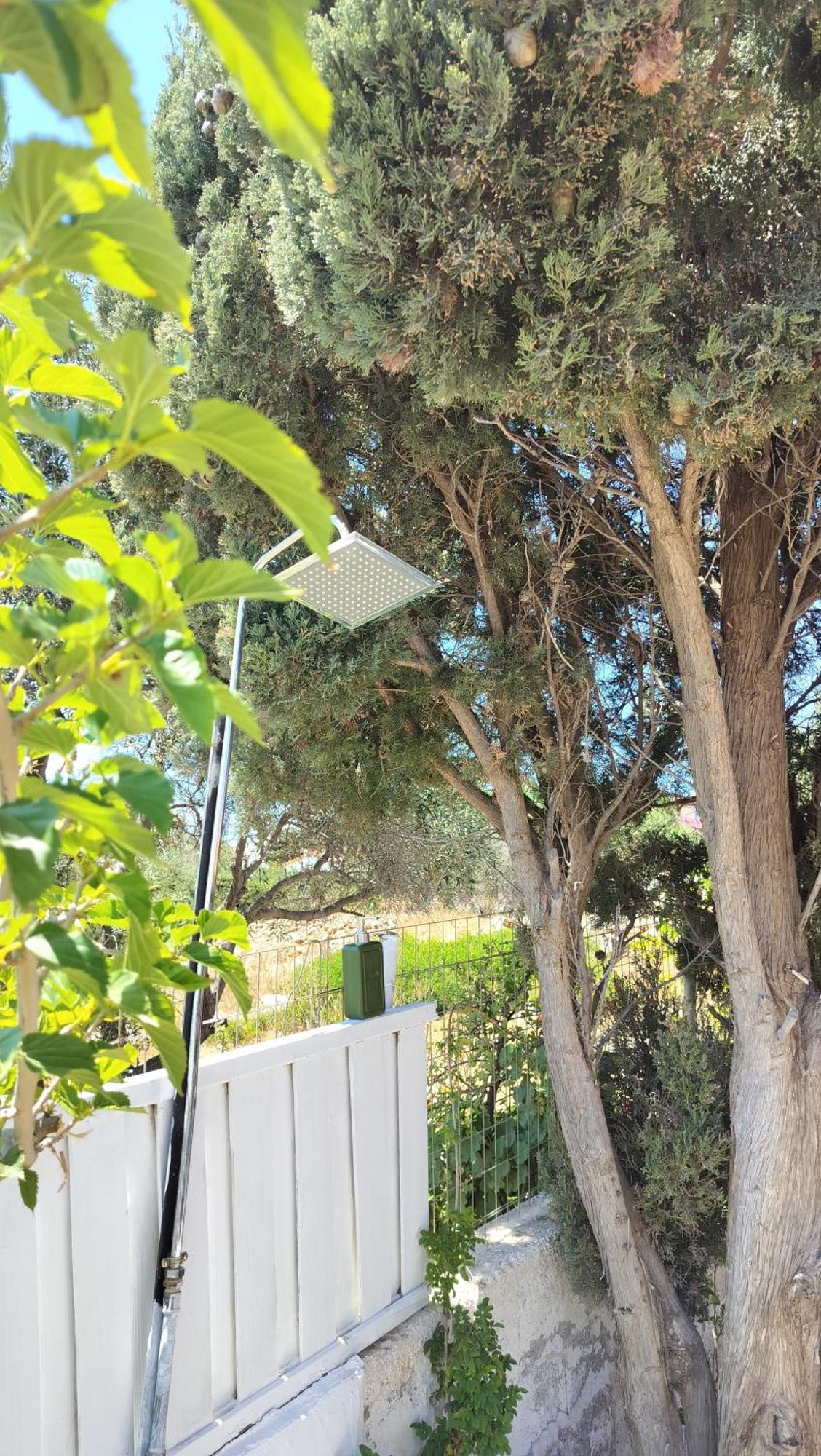 Cap Sounion Seafront Apartments -Adults Only エクステリア 写真
